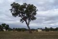 Property photo of 13 Albury Court Boyanup WA 6237