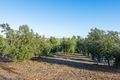 Property photo of 820 Wool Shed Road Mypolonga SA 5254