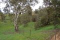 Property photo of 220 Homepoint Drive Bonnie Doon VIC 3720