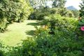 Property photo of 38 Sunrise Road Eumundi QLD 4562
