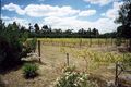 Property photo of 175 Couangalt Road Gisborne South VIC 3437