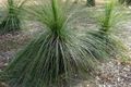 Property photo of LOT 8813 Banrock Drive Ellenbrook WA 6069
