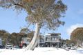 Property photo of 19 Halter Lane Dinner Plain VIC 3898