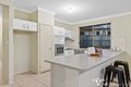 Property photo of 19 Ovals Terrace Springfield Lakes QLD 4300