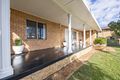Property photo of 31 Banksia Crescent Dubbo NSW 2830