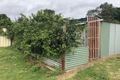 Property photo of LOT 51 Glew Street Pemberton WA 6260