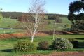Property photo of 245 Mitchell Road Newlands WA 6251