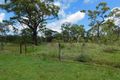 Property photo of 753 Greenhill Road Ilbilbie QLD 4738