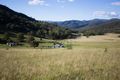 Property photo of 318-319 Spring Creek Road Mulla Creek NSW 2352