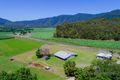 Property photo of 527 Mount Peter Road Edmonton QLD 4869