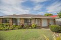 Property photo of 24 Cherrywood Street Sunnybank Hills QLD 4109