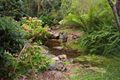 Property photo of 15 Cedar Ridge Road Kiama NSW 2533