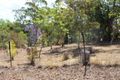 Property photo of 7 White Street Herberton QLD 4887