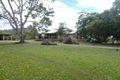 Property photo of 31 Bloodwood Drive Nome QLD 4816