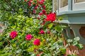 Property photo of 12 Newcastle Street Battery Point TAS 7004