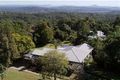 Property photo of 11 Guy Avenue Buderim QLD 4556