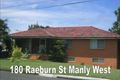 Property photo of 180 Raeburn Street Manly West QLD 4179