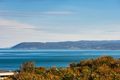 Property photo of 14 Yandanah Road Fairhaven VIC 3231