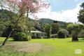 Property photo of 296 Finlayvale Road Finlayvale QLD 4873