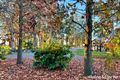 Property photo of 24B Lakeside Terrace Medowie NSW 2318