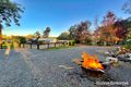 Property photo of 24B Lakeside Terrace Medowie NSW 2318