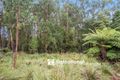Property photo of 18 Chalet Road Olinda VIC 3788