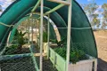 Property photo of 17 John Street Wetheron QLD 4625
