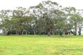 Property photo of 481 Spring Terrace Road Forest Reefs NSW 2798