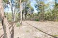 Property photo of 264 Central Road Tinana QLD 4650