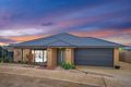 Property photo of 55 Rosemond Way Bannockburn VIC 3331