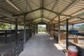 Property photo of 35 Tucker Lane Ferny Glen QLD 4275