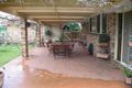 Property photo of 24 Cedar Wattle Place Narellan Vale NSW 2567