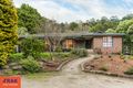 Property photo of 37 Old Main Road Ferny Creek VIC 3786