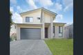 Property photo of 24 Tea Trees Avenue Springfield Lakes QLD 4300