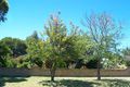 Property photo of 36 Lorikeet Loop High Wycombe WA 6057