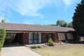Property photo of 40 Barbara Crescent Risdon Park South SA 5540