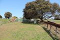 Property photo of 4049 Taralga Road Myrtleville NSW 2580
