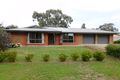 Property photo of 33 Creecoona Terrace Bordertown SA 5268