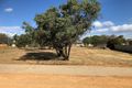 Property photo of 23 Bowen Street Goomalling WA 6460