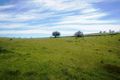 Property photo of LOT 412 Mattschoss Road Daveyston SA 5355