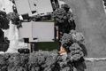 Property photo of 73/1 Grange Boulevard Upper Coomera QLD 4209