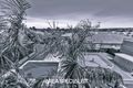 Property photo of 128 Livingstone Boulevard Pakenham VIC 3810