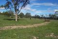 Property photo of LOT 14/250 Owens Scrub Road Leyburn QLD 4365