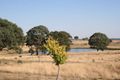 Property photo of 304 Cartwright Avenue Sutton NSW 2620