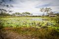 Property photo of 116 Jakeman Drive Agnes Water QLD 4677
