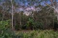 Property photo of 18-20 Nanette Court Alexandra Hills QLD 4161