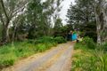 Property photo of 8878 Midland Highway Harcourt VIC 3453