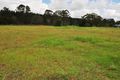 Property photo of 8 Bobrei Court Wallu QLD 4570