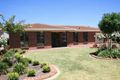 Property photo of 8 Carolyn Grove Athelstone SA 5076
