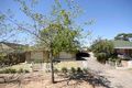 Property photo of 23 Calstock Avenue Edwardstown SA 5039